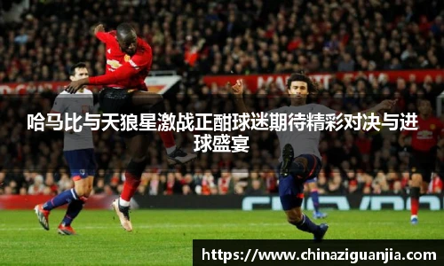 哈马比与天狼星激战正酣球迷期待精彩对决与进球盛宴