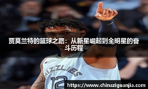 熊猫体育